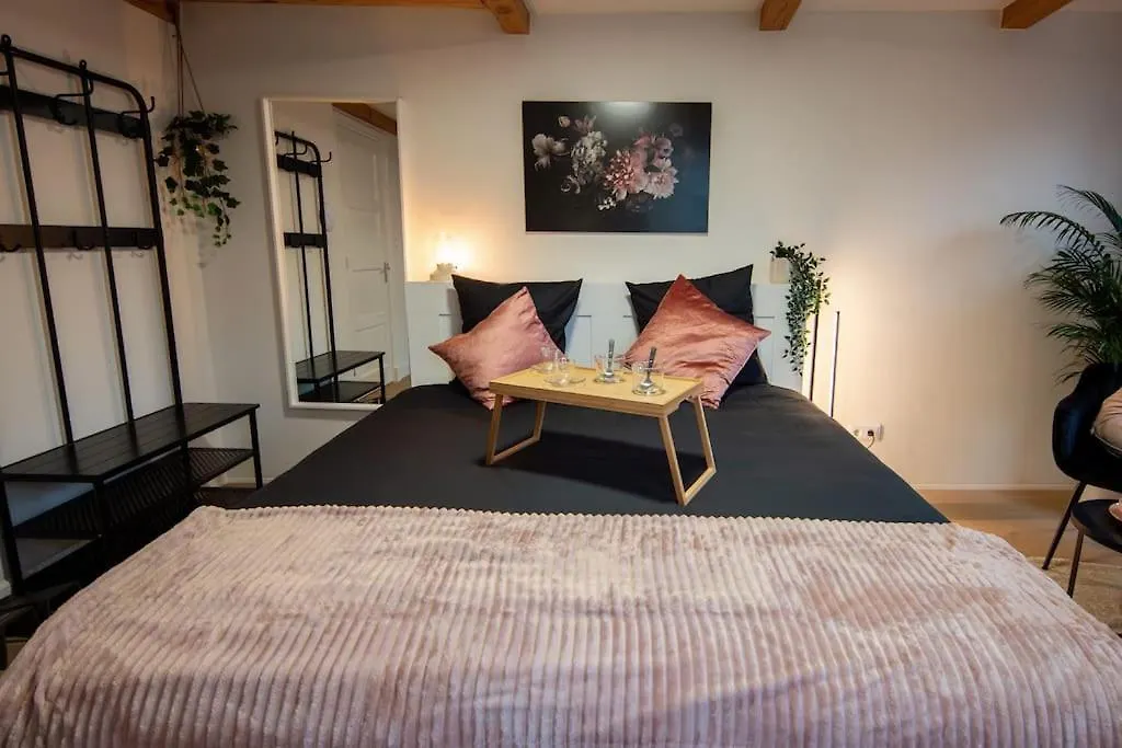 Best Neighbourhood Apartment Amsterdam